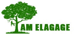 elagage-am-elagage